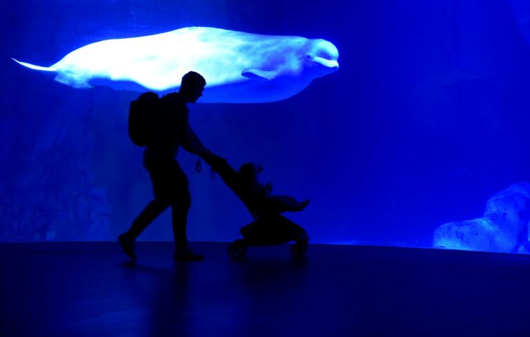 Escapadas culturales desde Málaga para disfrutar en familia