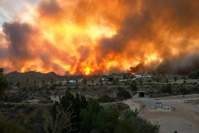 Incendio-Los-Gallardos-e1783752109766