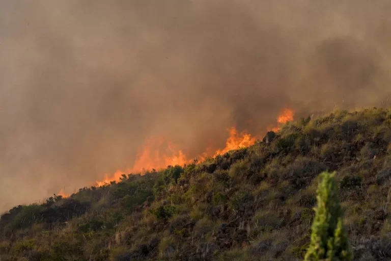 Un millar de personas desalojadas por el incendio forestal de Benahavís