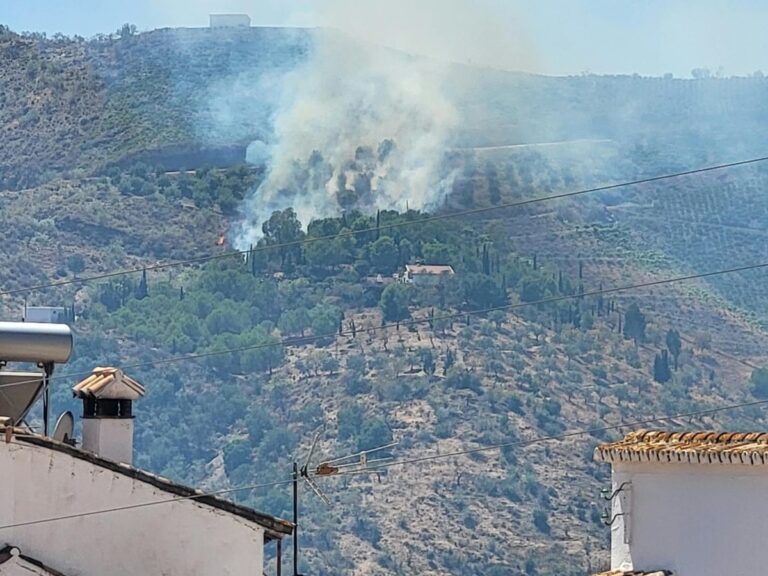 Controlado el incendio forestal declarado en Macharaviaya