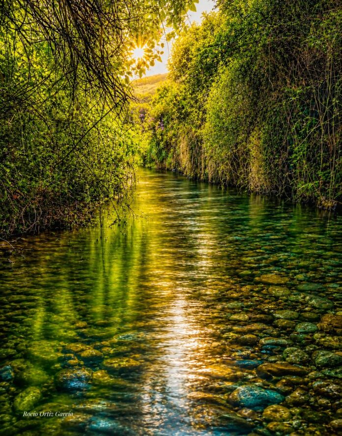 Andalucia. Malaga. Canillas de Aceituno. Rocío Ortiz García (1)