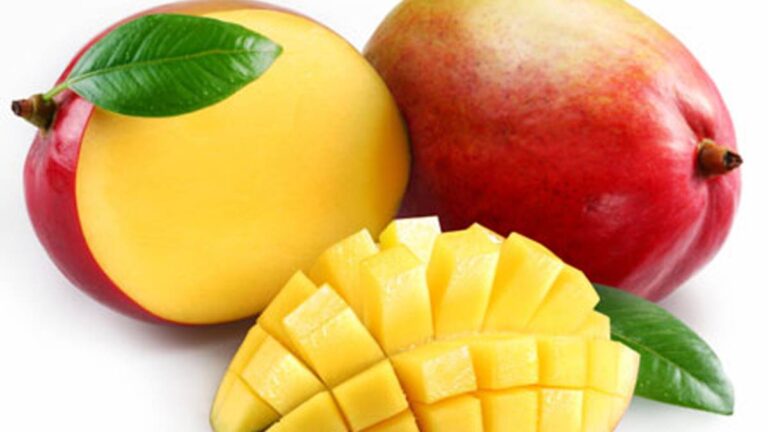 Mangos desde verano hasta navidad gracias a la diversidad