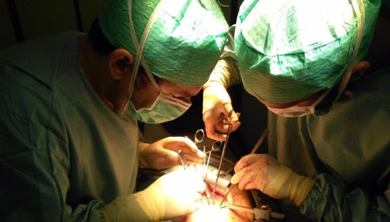 Las donaciones de órganos en Málaga se colocaron en la primera posición con 247 trasplantes hechos